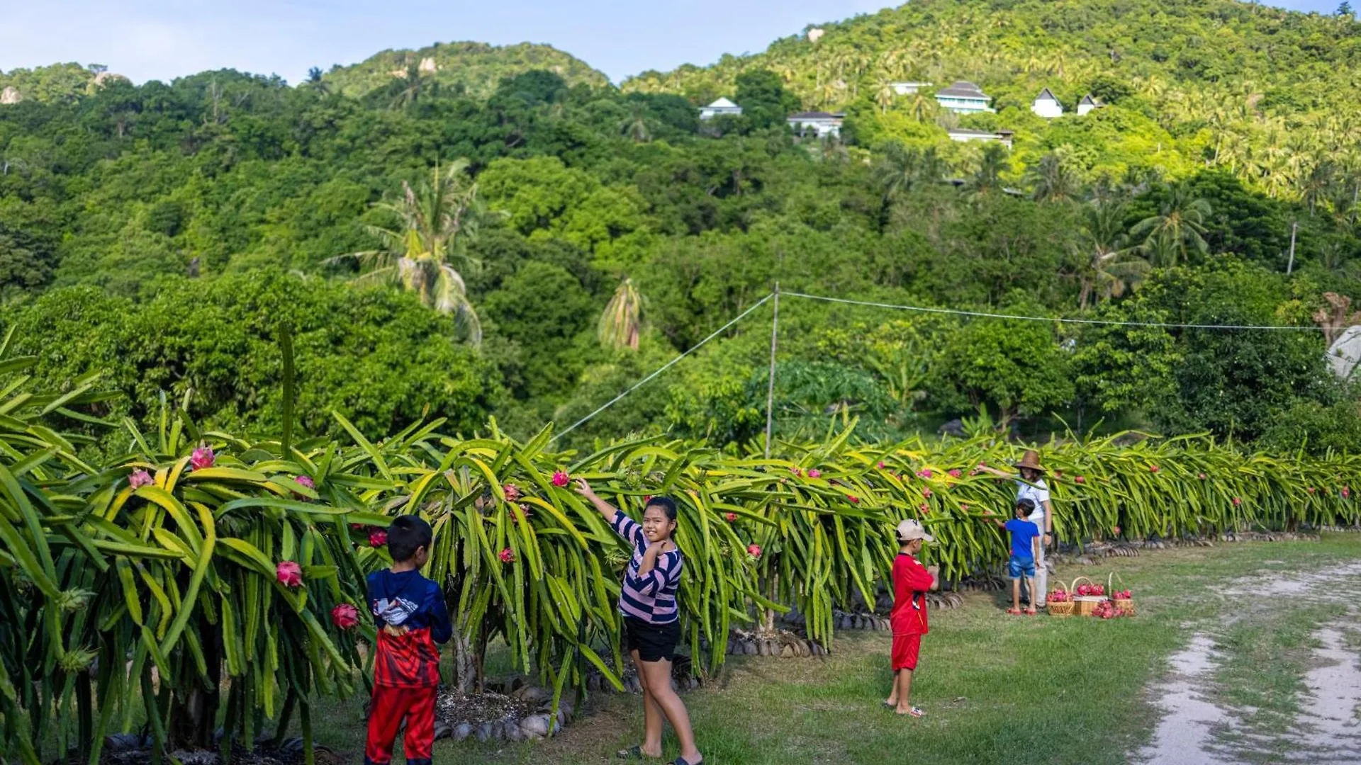 Ban'S Diving Resort Sha Extra Plus Ko Tao