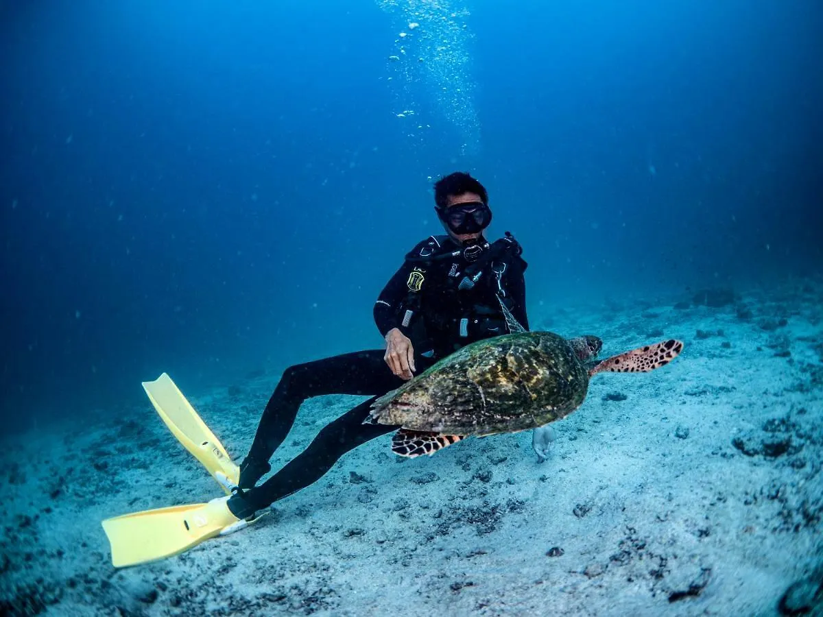 ****  Ban'S Diving Resort Ko Tao Tayland